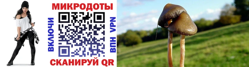 Галлюциногенные грибы мицелий  Купить закладки  Тамбов 